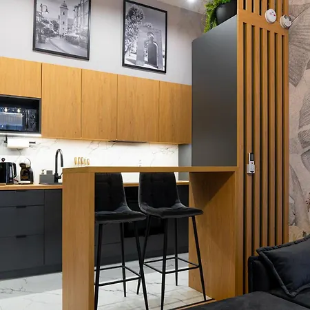 Luksusowy W Samym Centrum Miasta Z Ogromnym Tarasem Daire