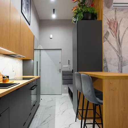 Luksusowy W Samym Centrum Miasta Z Ogromnym Tarasem Daire