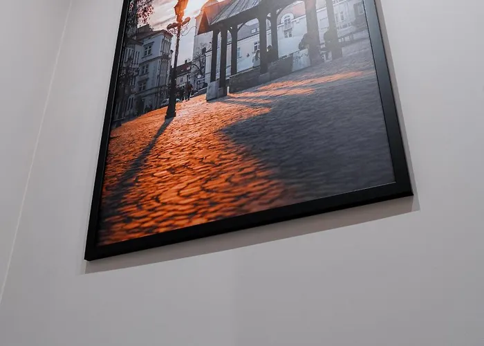 Luksusowy W Samym Centrum Miasta Z Ogromnym Tarasem Апартаменти Ряшів